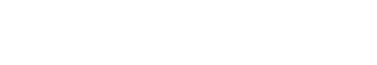 WARDOGS